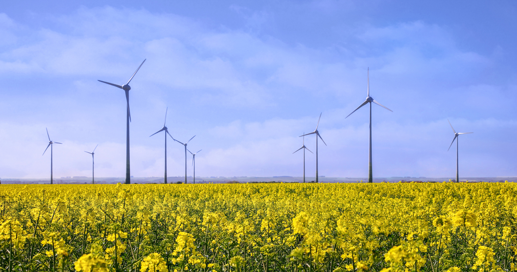 Ressources Naturelles